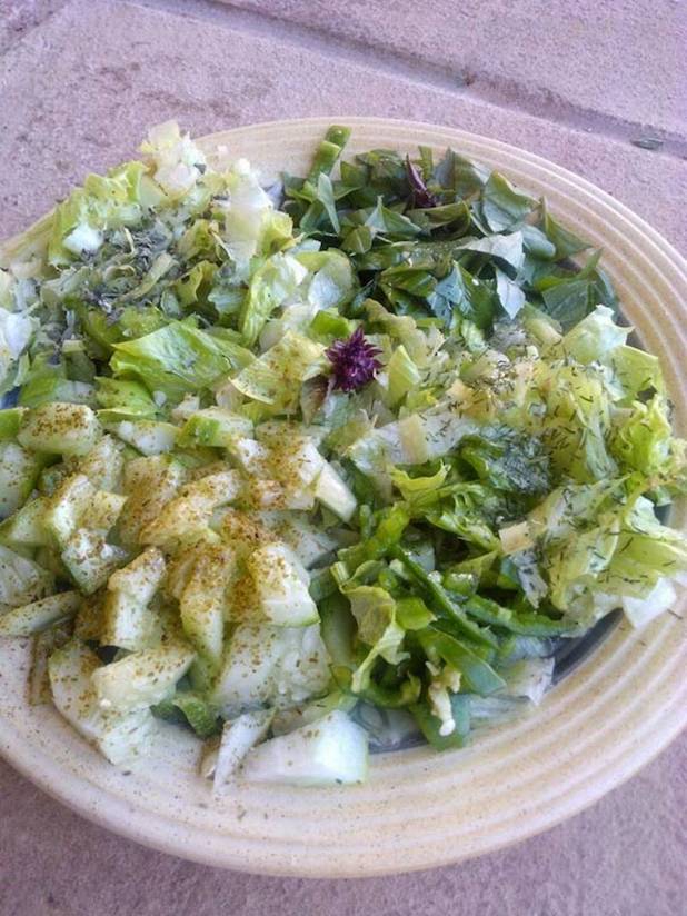 Ensalada de pepino, lechuga y albahaca