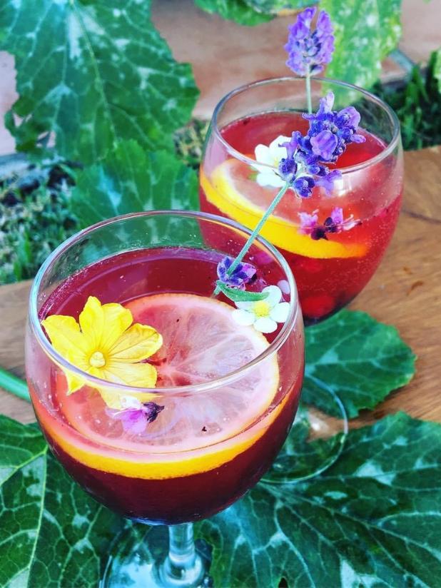 Limonada de flor de saúco