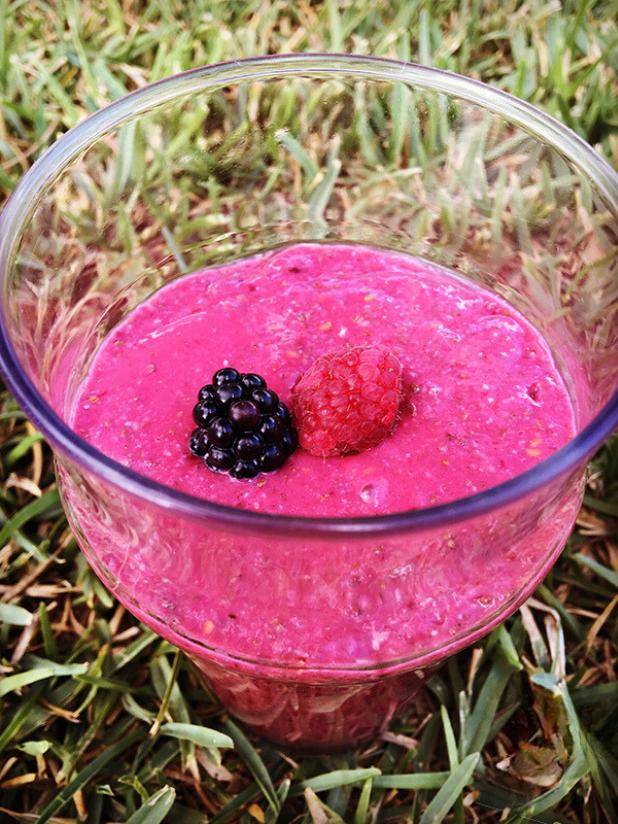 Pudín de chía con frambuesas y moras