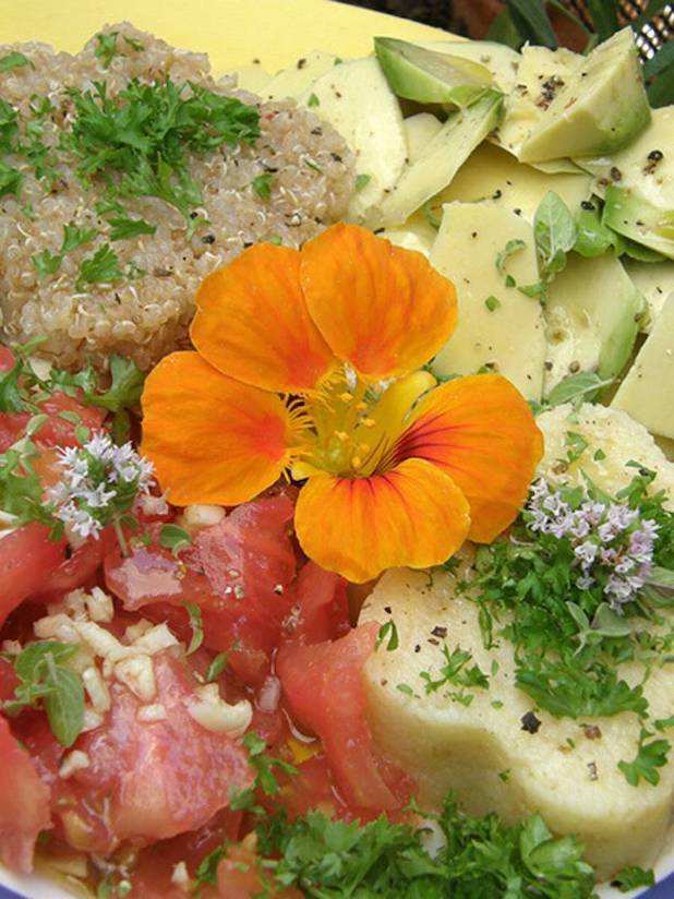 Quinoa con aguacate y tomate