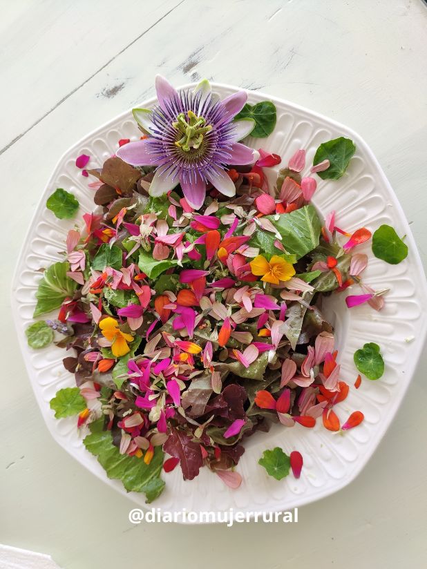 Ensalada con flores