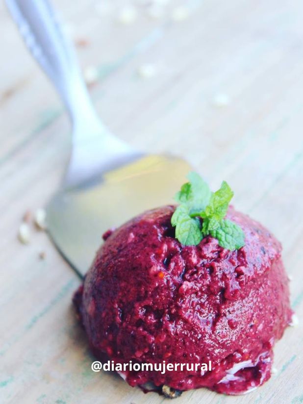 Helado de aguacate vegano