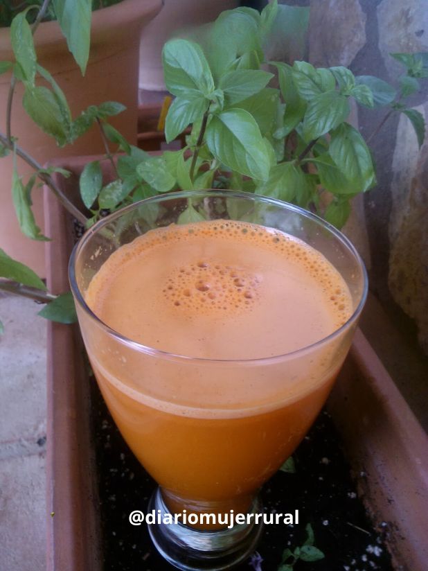 Jugo de zanahorias e hinojo