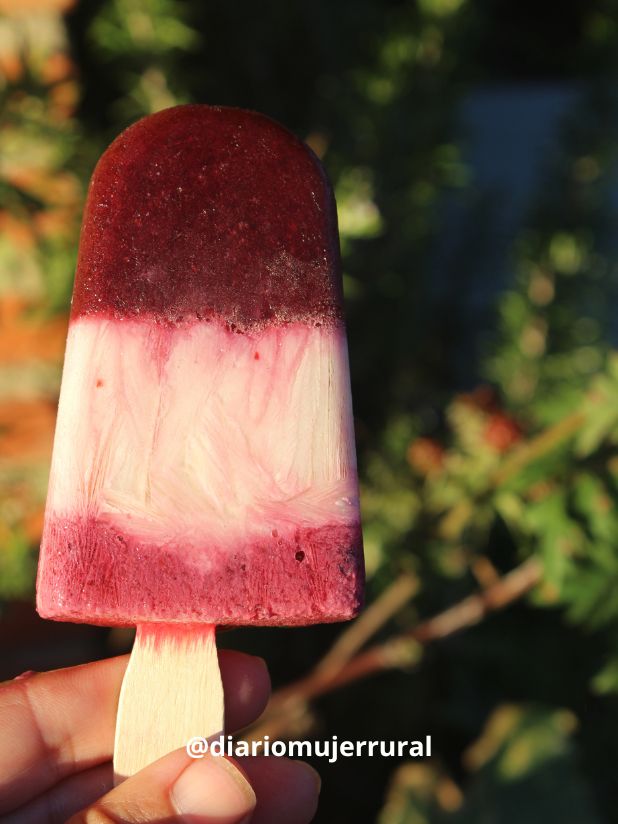 Polo vegano de frutas con tres colores